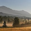 V.Tatry - ranná