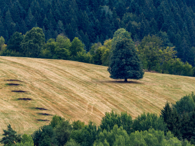 NP Nizke Tatry