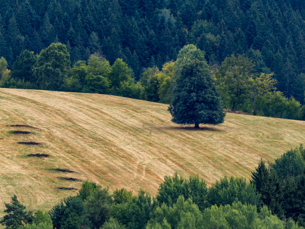NP Nizke Tatry