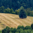 NP Nizke Tatry