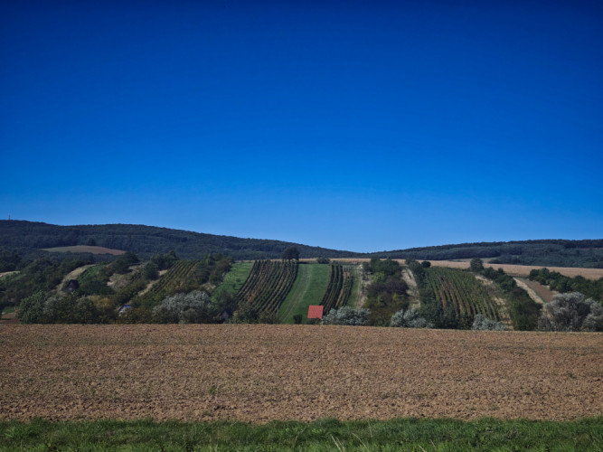 Dojč