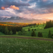 Tatranské línie