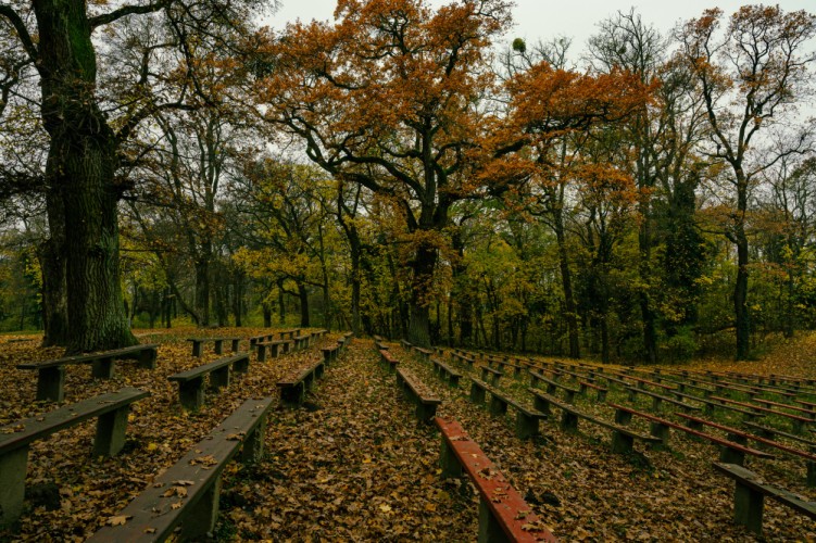 Park Šamorín - Pomlé