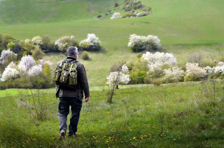 Silická planina