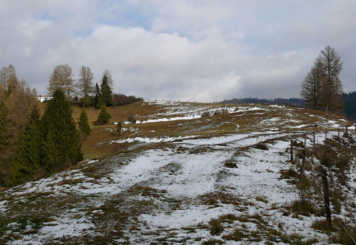 Levočské lúky