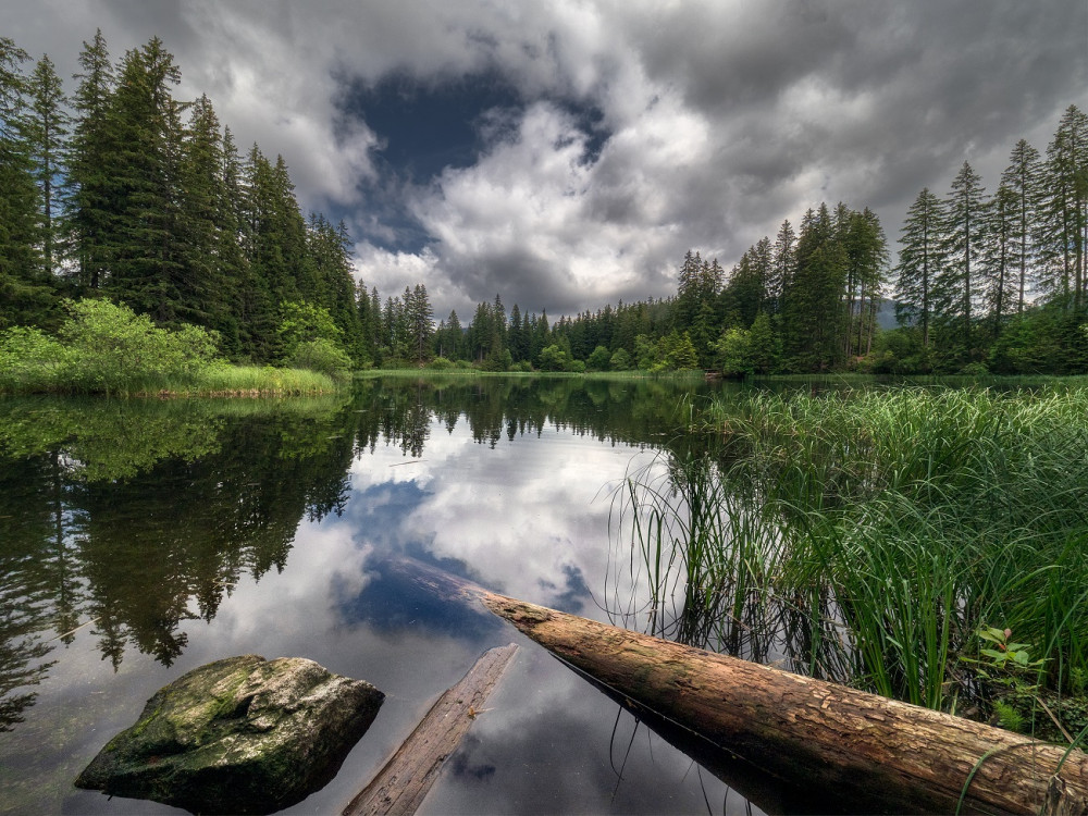 Vrbické pleso