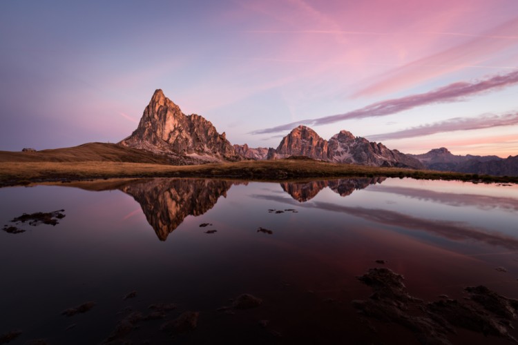 purple reflection