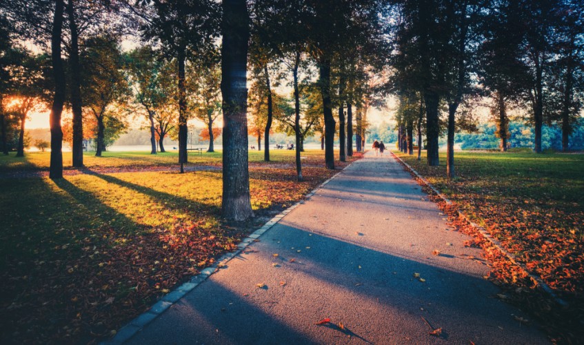 jesenný park