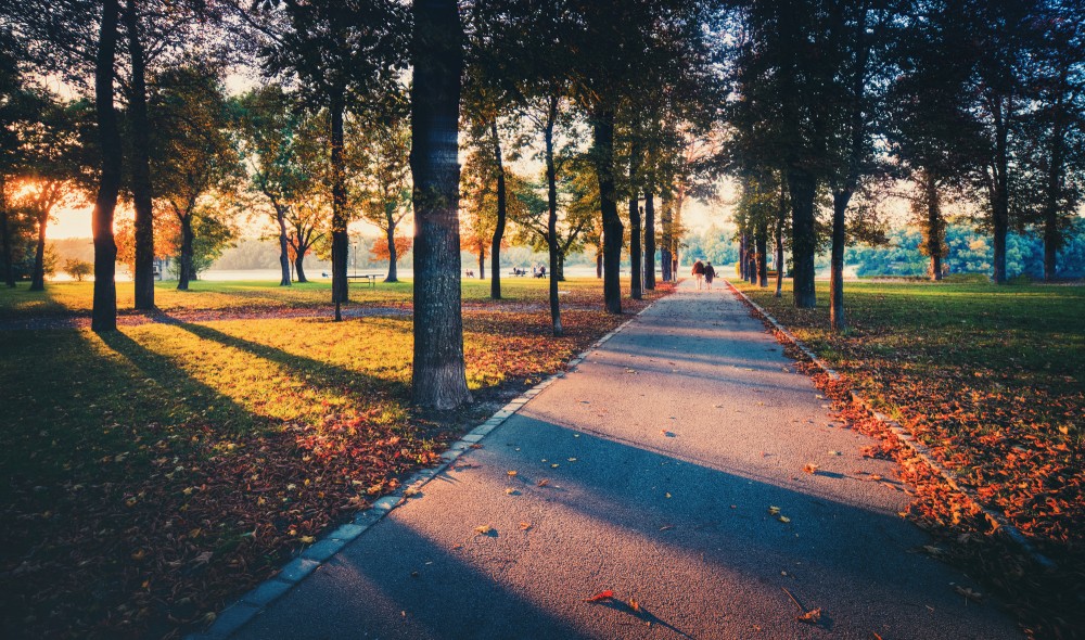 jesenný park