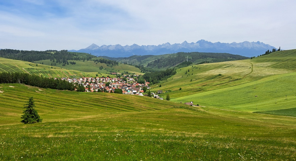 Učupená