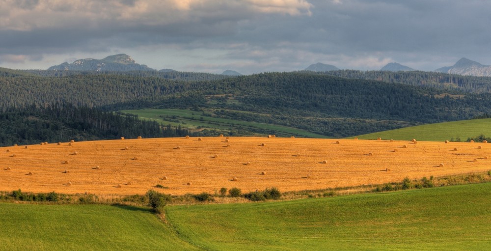 Oravská krajina