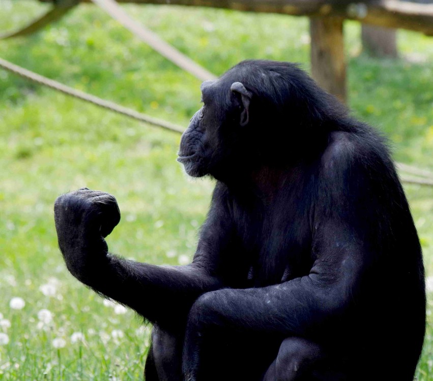 Zoo Győr.