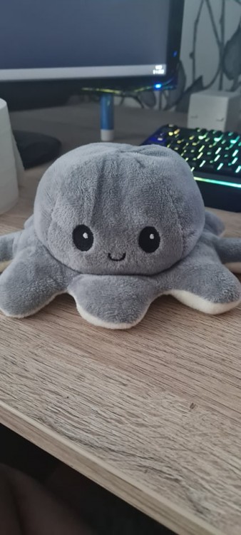 squishy squid