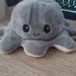 squishy squid