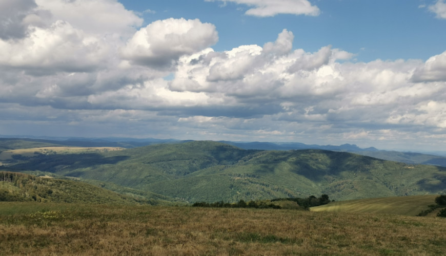 Machnac 771