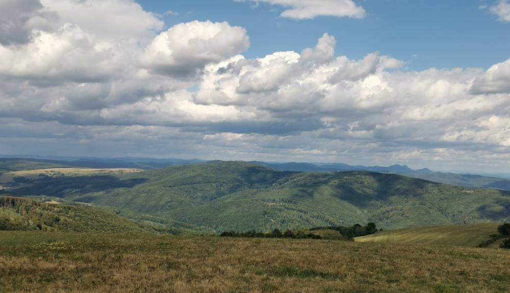 Machnac 771