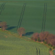 Moravské Toskánsko