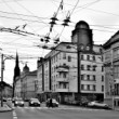 Pod pavučinou