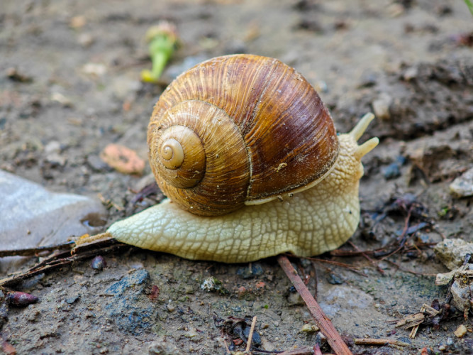 Pomaly ďalej zájdeš