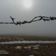 Nádej