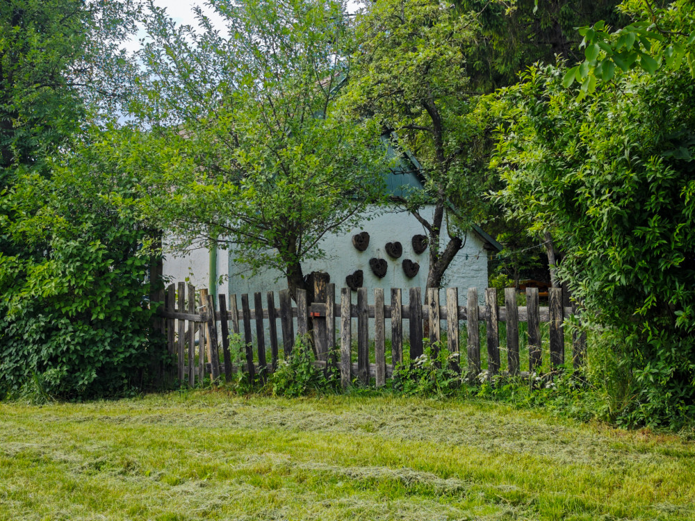 Bukovské lazy