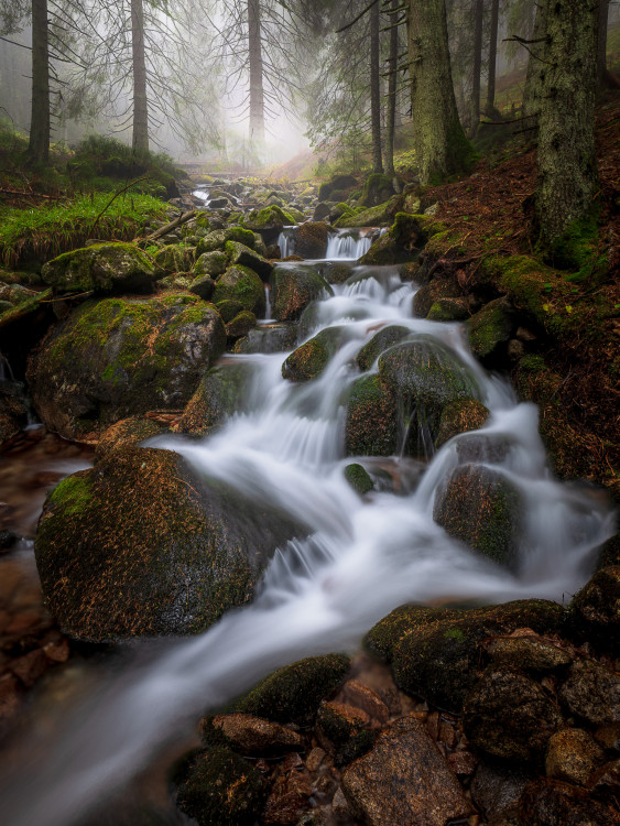 Potok - Veľká Fatra