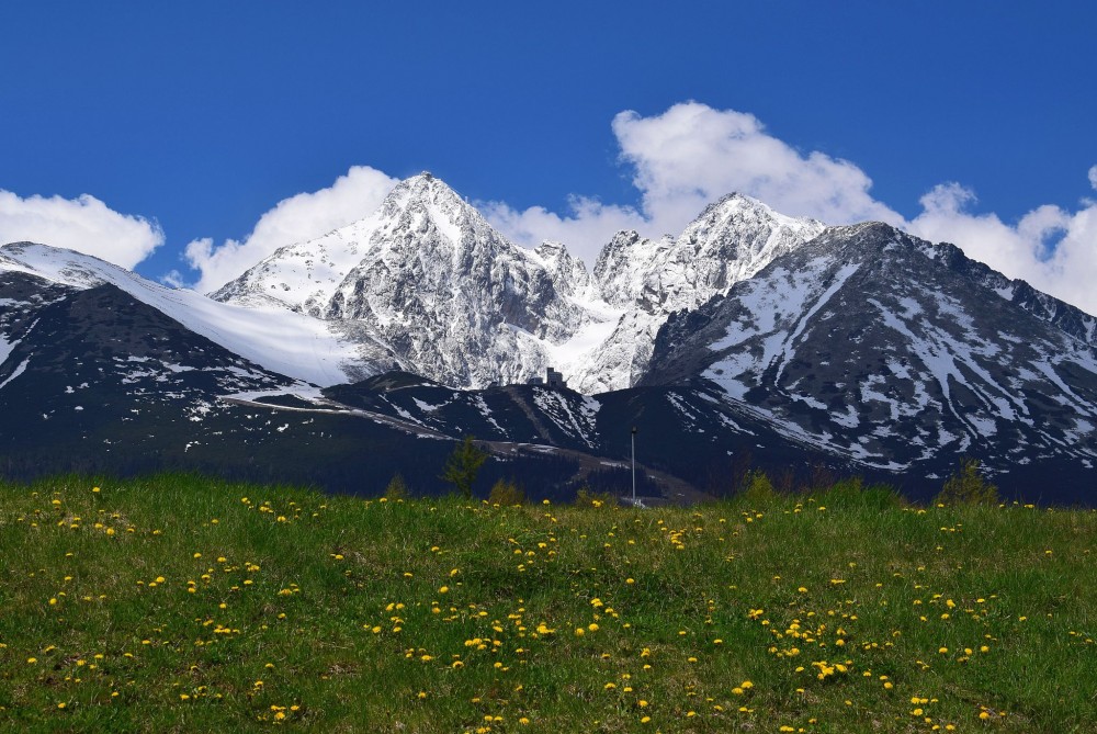 Skalnaté pleso