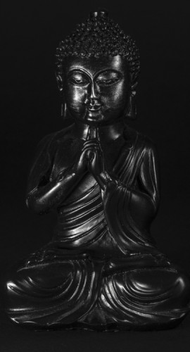 Budha…