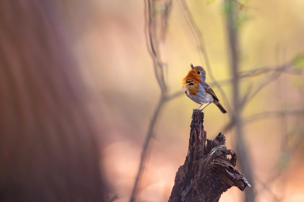 ..keď ide o veľa...