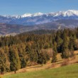 Západné Tatry - Roháče