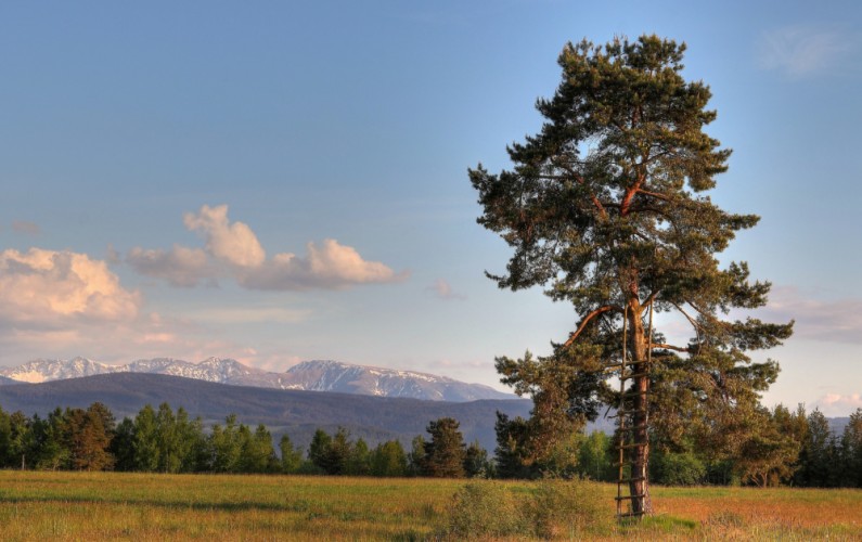 krajina, tatry