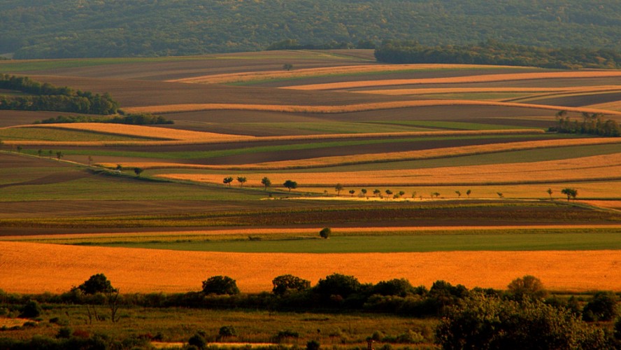 Krivky krásnej Moravy