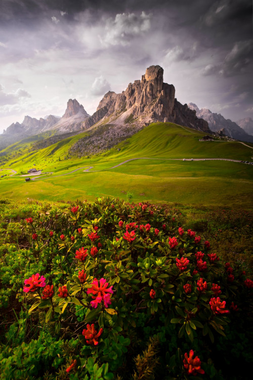 Zakvitnuté Dolomity