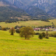 Ždiar