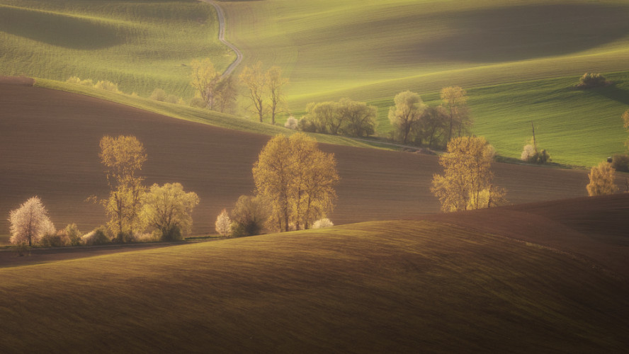 Turčianske línie...