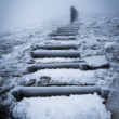 Stairway to Heaven