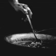 feed the people