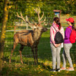 ZOO