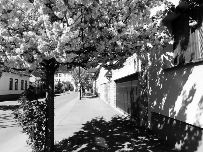 pohladenie duše aj okien