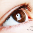 macro