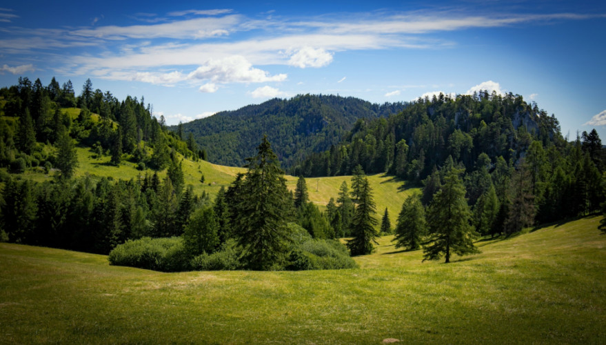 Vernár Studničky