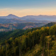Orava