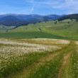 Margaretkovo