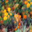 icm