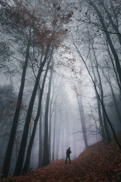 Iné počasie, iný svet