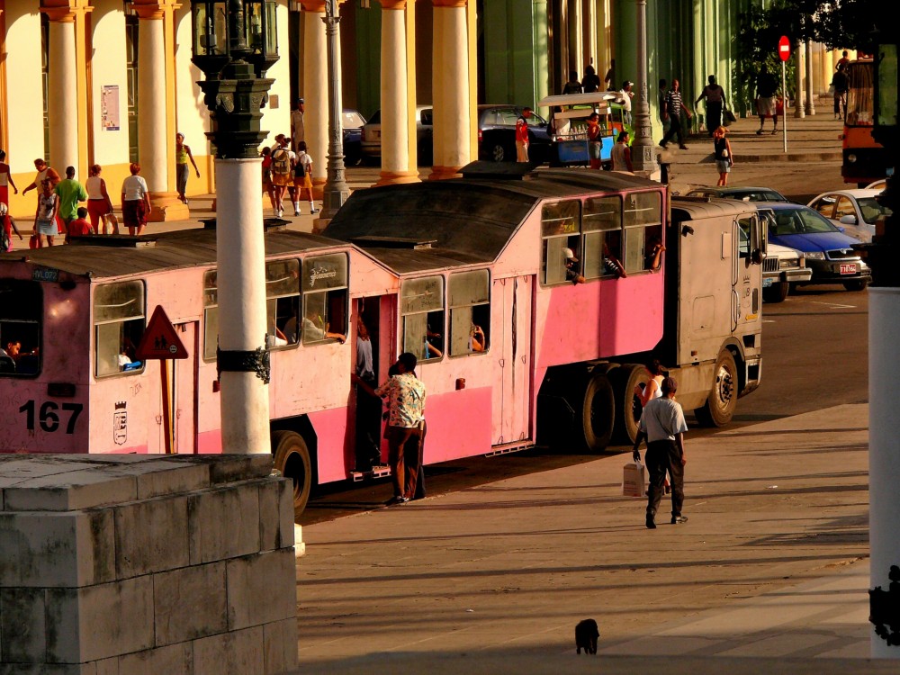 Miestny autobus