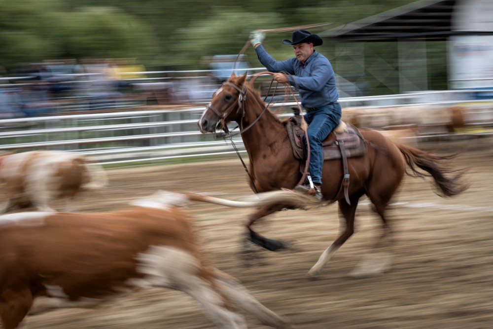 Ranch roping