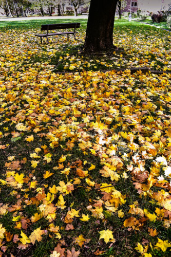 Podzim mezi paneláky