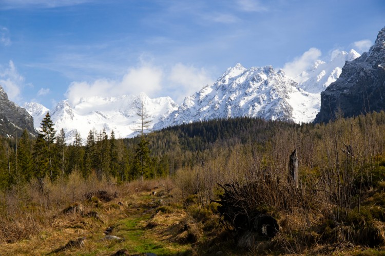 Cestou na Popradské pleso