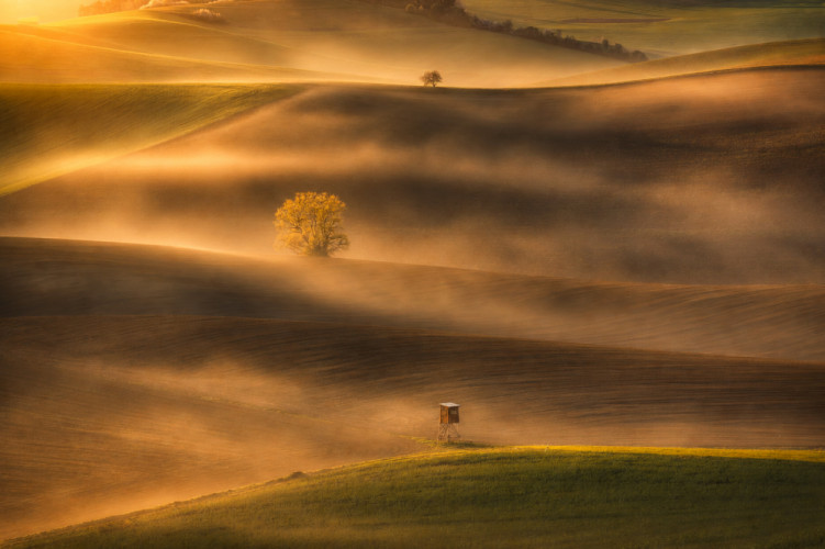 Impresie